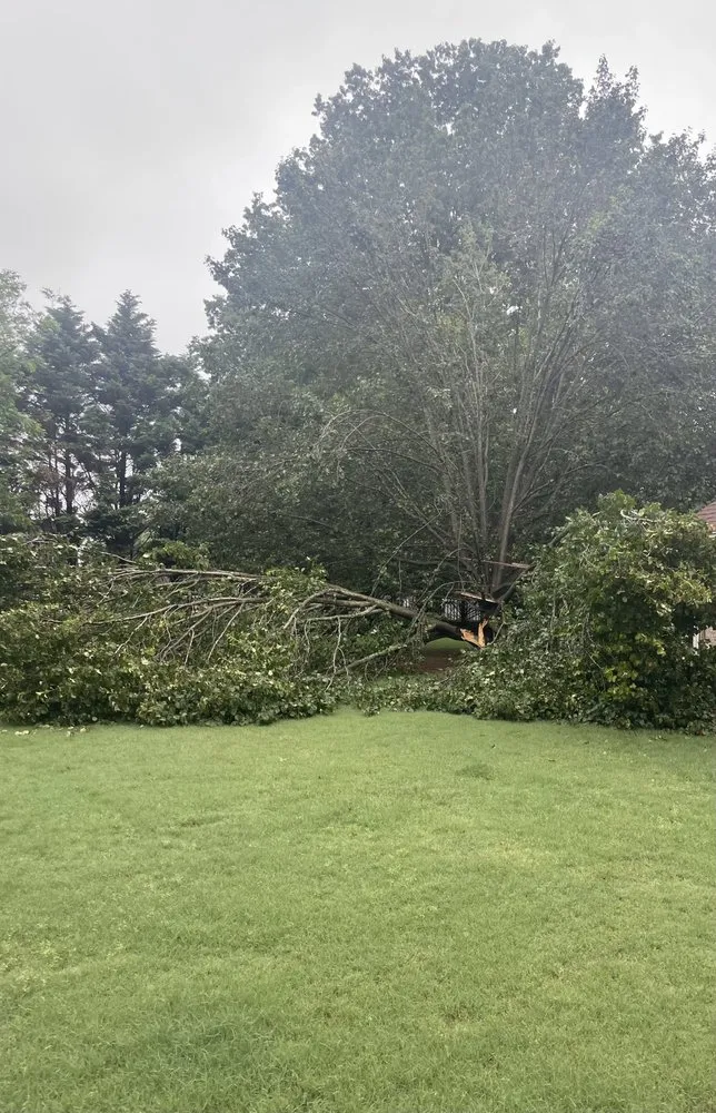 Professional outdoor landscaping experts serving Sheffield, AL - Green & Clean Lawncare