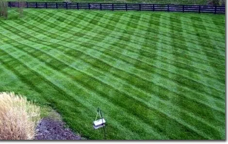 Custom outdoor landscaping in Lexington, KY by Green & Grow