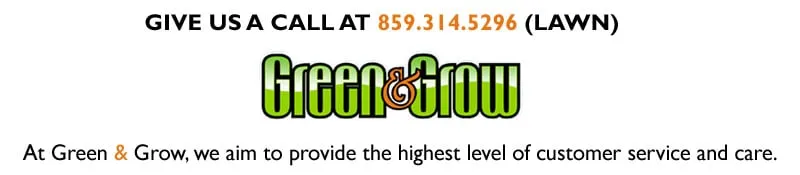 Trusted yard cleanup service with custom design in Lexington, KY by Green & Grow