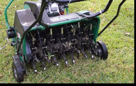 Professional outdoor landscaping experts serving Lexington, KY - Green & Grow