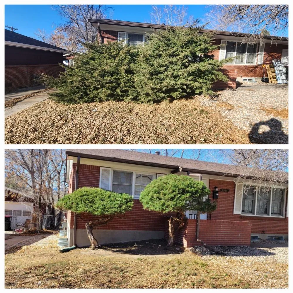 Top-rated landscaping services for residential properties in Colorado Springs, CO by Green & Growing