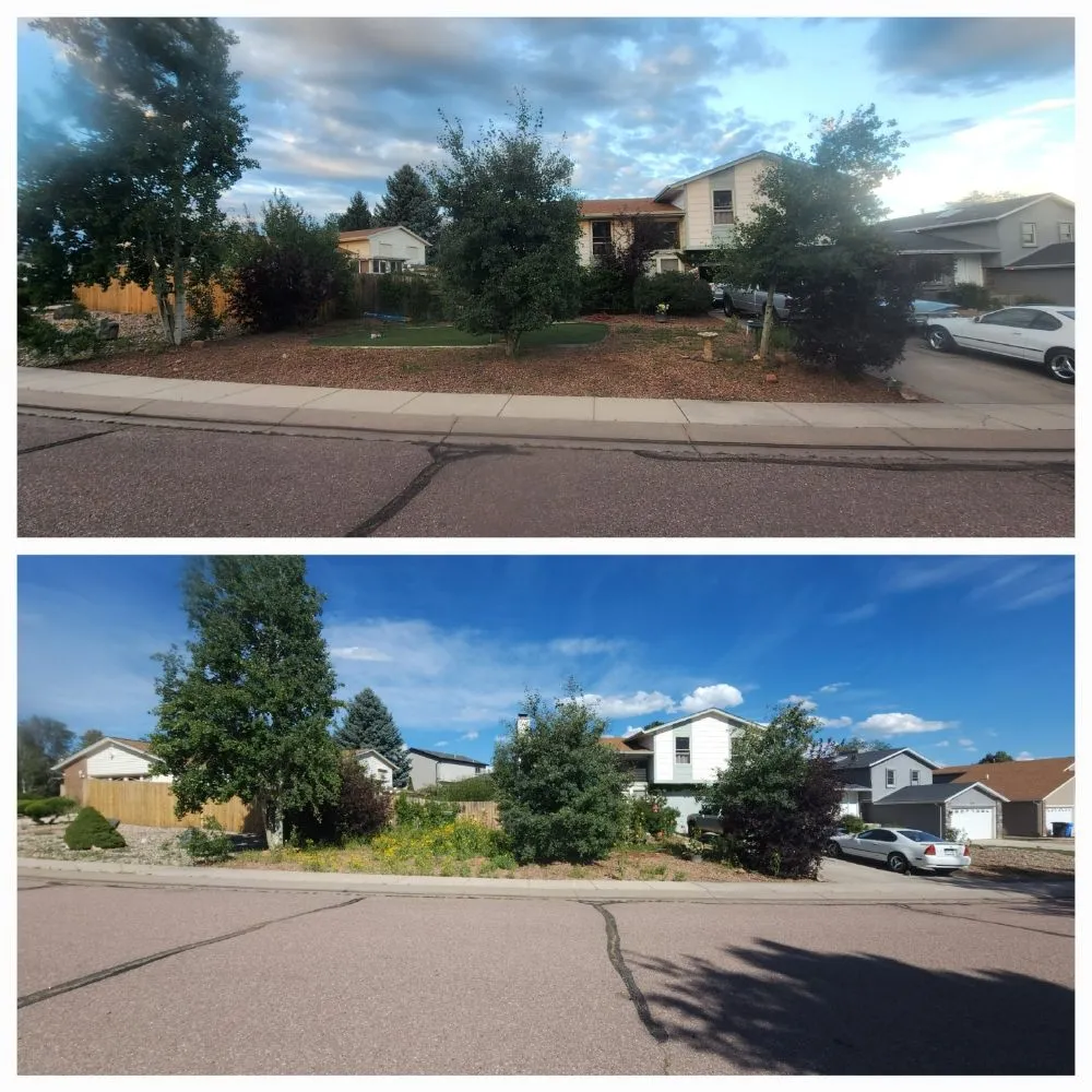 Local landscape design for beautiful yards across Colorado Springs, CO - Green & Growing