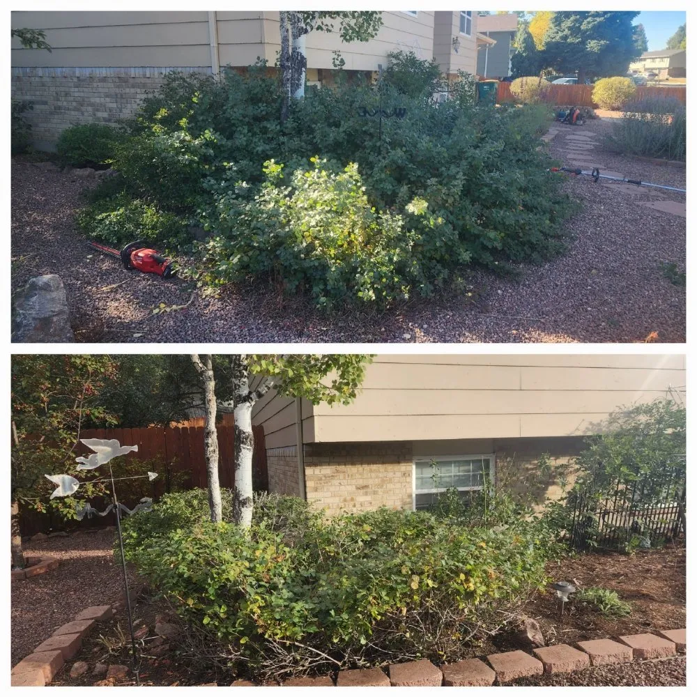 Professional landscape design in Colorado Springs, CO - Green & Growing