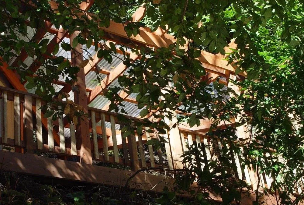 Affordable yard cleanup service in Santa Cruz, CA by Green & Growing Landscape