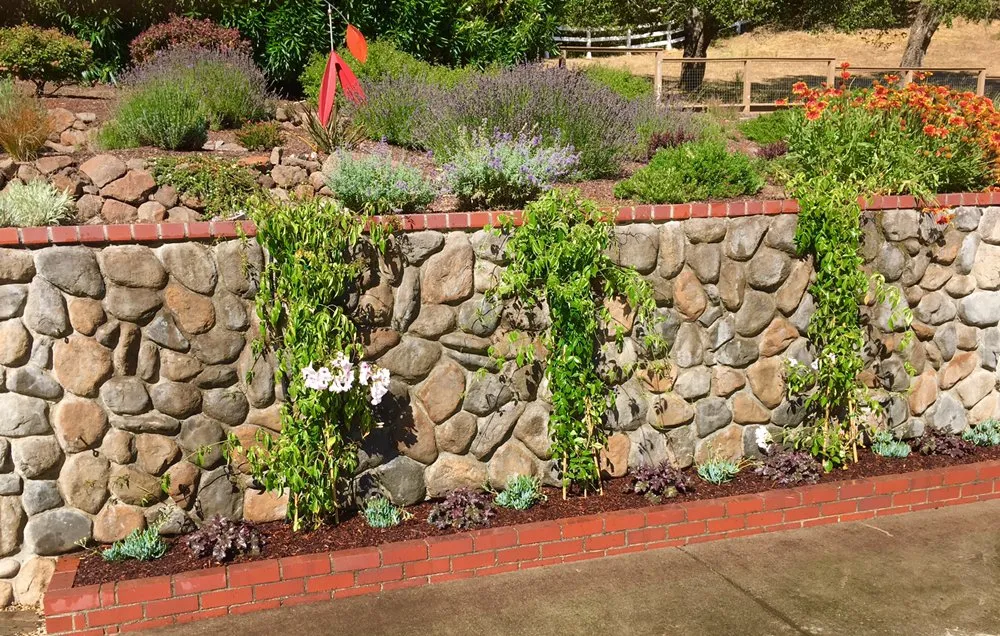 Professional yard cleanup service for outdoor upgrades in Santa Cruz, CA by Green & Growing Landscape