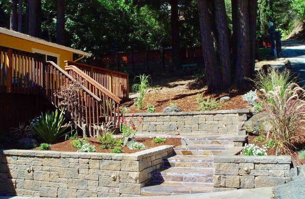 Expert landscaping services for year-round maintenance in Santa Cruz, CA by Green & Growing Landscape