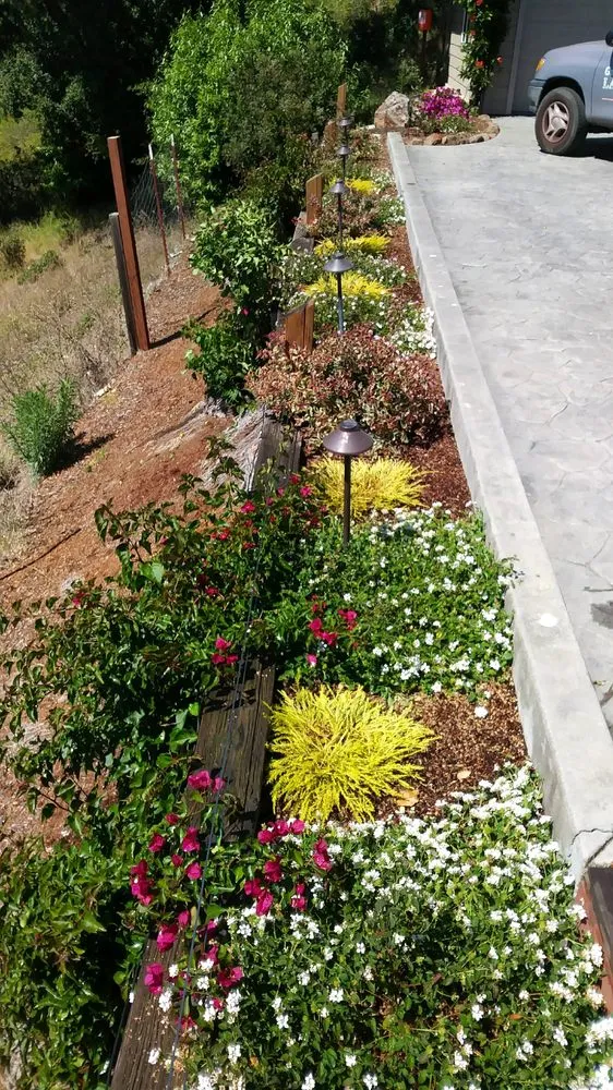 Local lawn mowing service for year-round maintenance across Santa Cruz, CA - Green & Growing Landscape