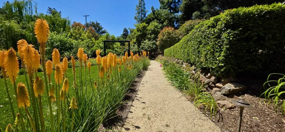 Expert garden landscaping in San Jose, CA - Green & Rock Unlimited Landscape