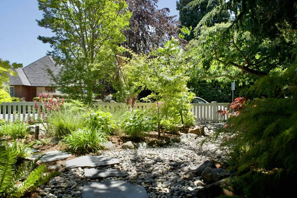 Reliable landscape installation for year-round maintenance across San Jose, CA - Green & Rock Unlimited Landscape