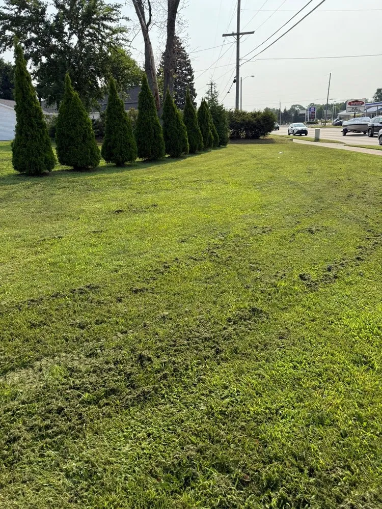 Trusted yard cleanup service in Holland, MI by Green 360