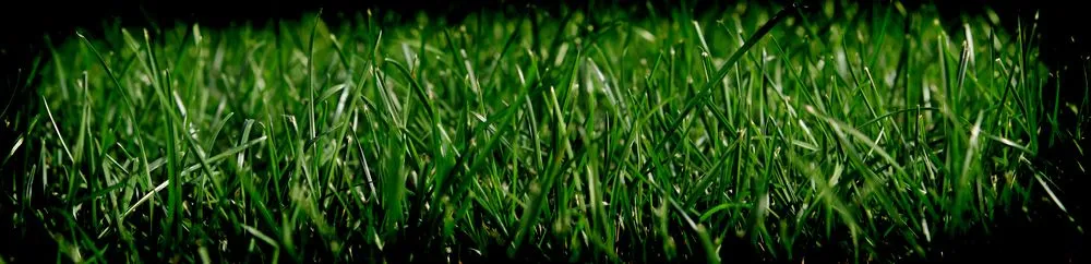 Trusted landscape installation experts serving Sioux Falls, SD - Green 4 Ever