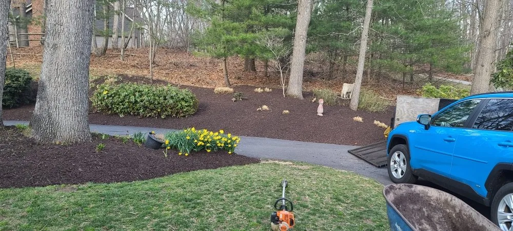 Custom yard cleanup service experts serving Reisterstown, MD - Green 4 Life Landscaping