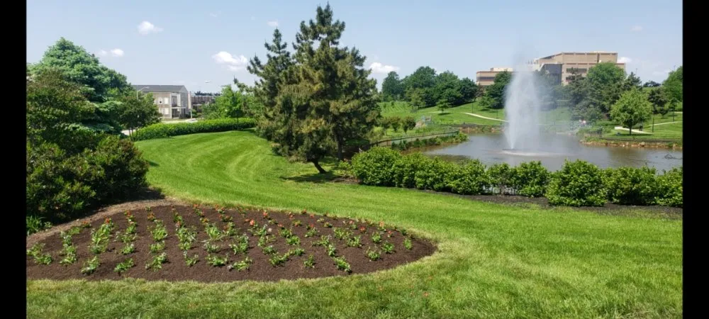 Affordable landscaping services experts serving Reisterstown, MD - Green 4 Life Landscaping