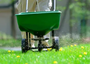 Local outdoor landscaping for beautiful yards in Hillsdale, NJ by Green-A-Lawn