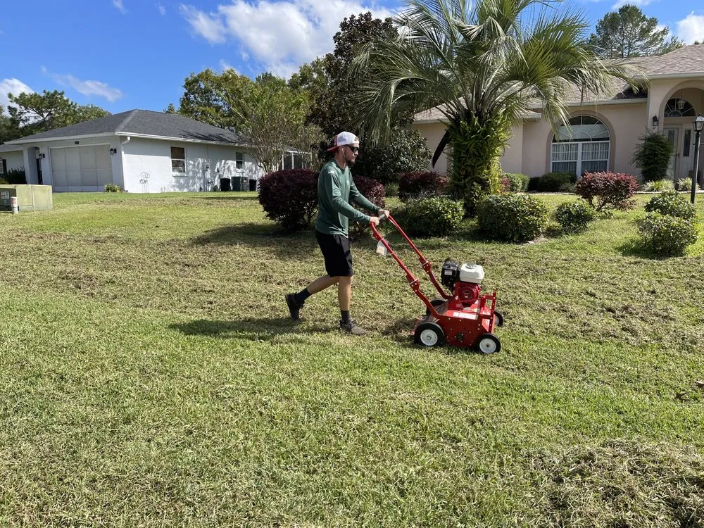 Expert garden landscaping in Ocala, FL by Green Ace Landscape Solutions