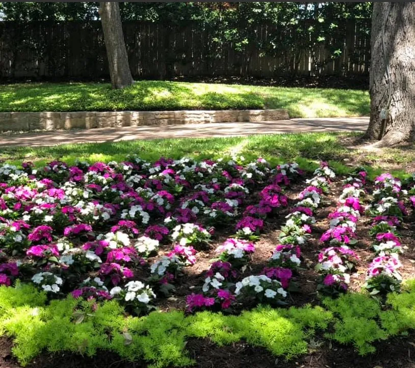 Affordable lawn care service in Waco, TX by Green Ackors Landscaping & Irrigation