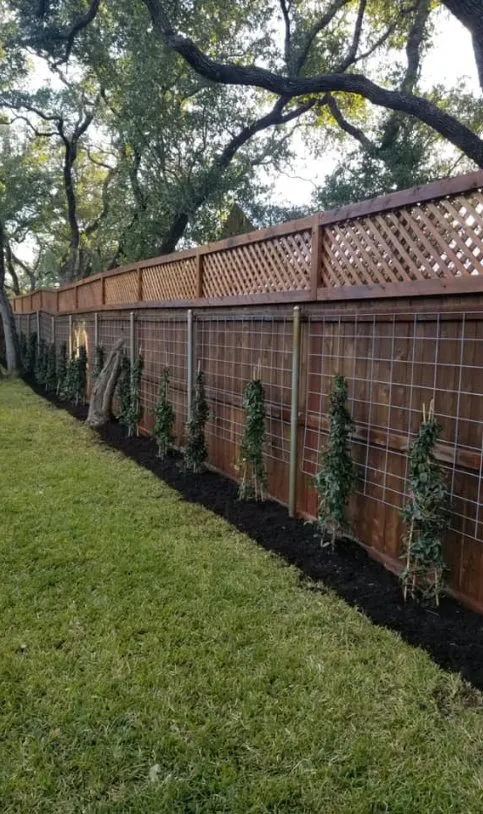 Expert yard cleanup service in Waco, TX by Green Ackors Landscaping & Irrigation