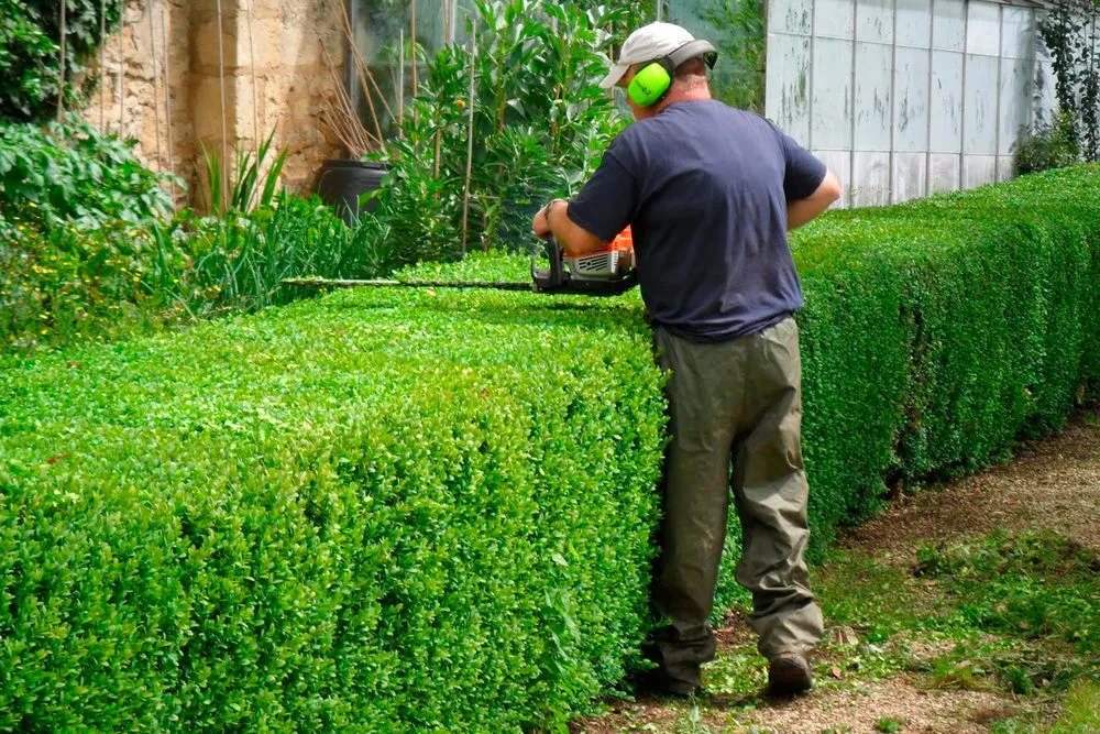 Reliable landscape installation for beautiful yards across Land O' Lakes, FL - Green Acre Landscape Services