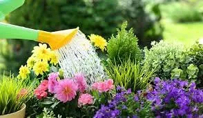 Top-rated landscaping services in Land O' Lakes, FL - Green Acre Landscape Services
