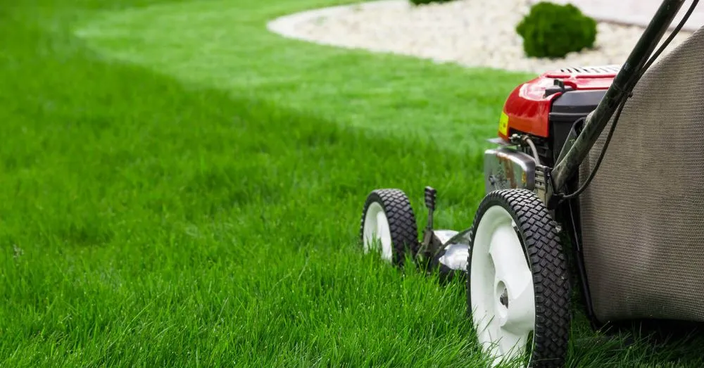 Reliable landscaping services experts serving Land O' Lakes, FL - Green Acre Landscape Services