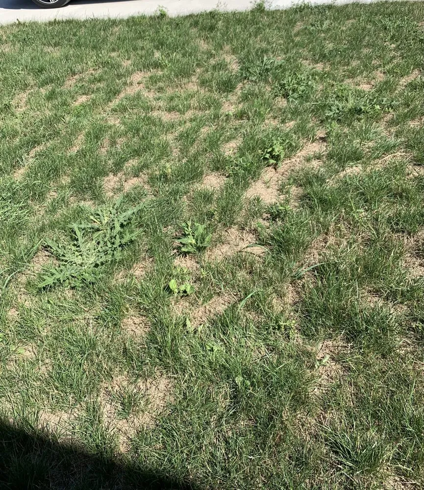 Custom garden landscaping experts serving Bad Axe, MI - Green Acre Landscaping