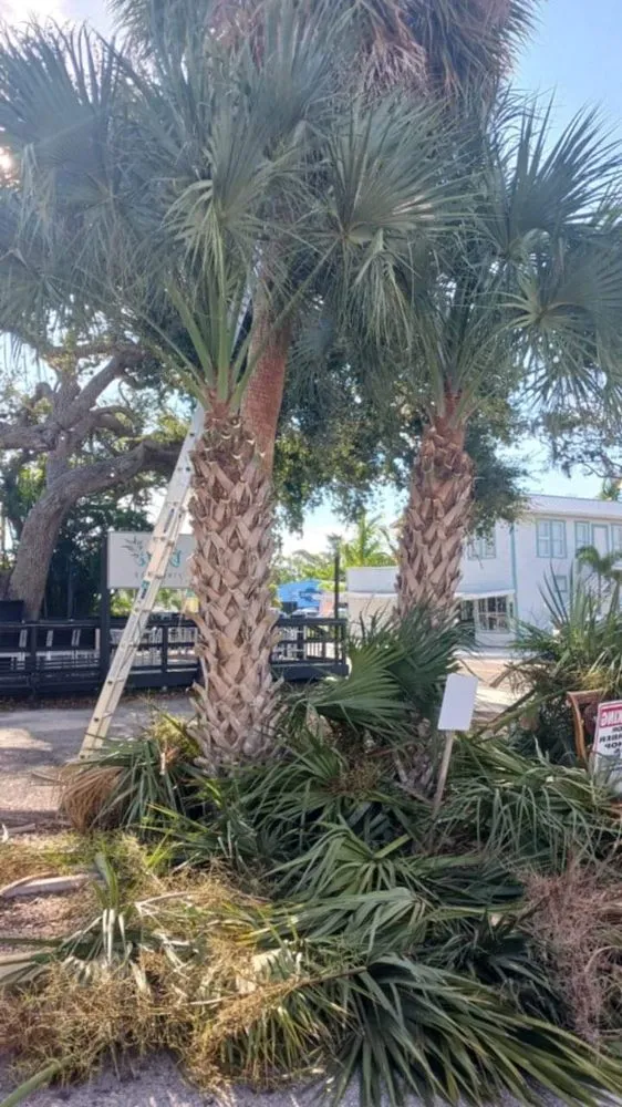 Professional outdoor landscaping near you in Osprey, FL by Green Acres By Art Jr Landscaping