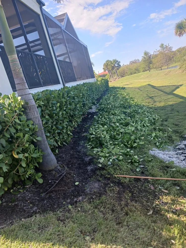 Reliable yard cleanup service in Osprey, FL by Green Acres By Art Jr Landscaping
