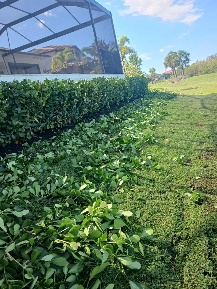 Reliable outdoor landscaping for outdoor upgrades in Osprey, FL by Green Acres By Art Jr Landscaping