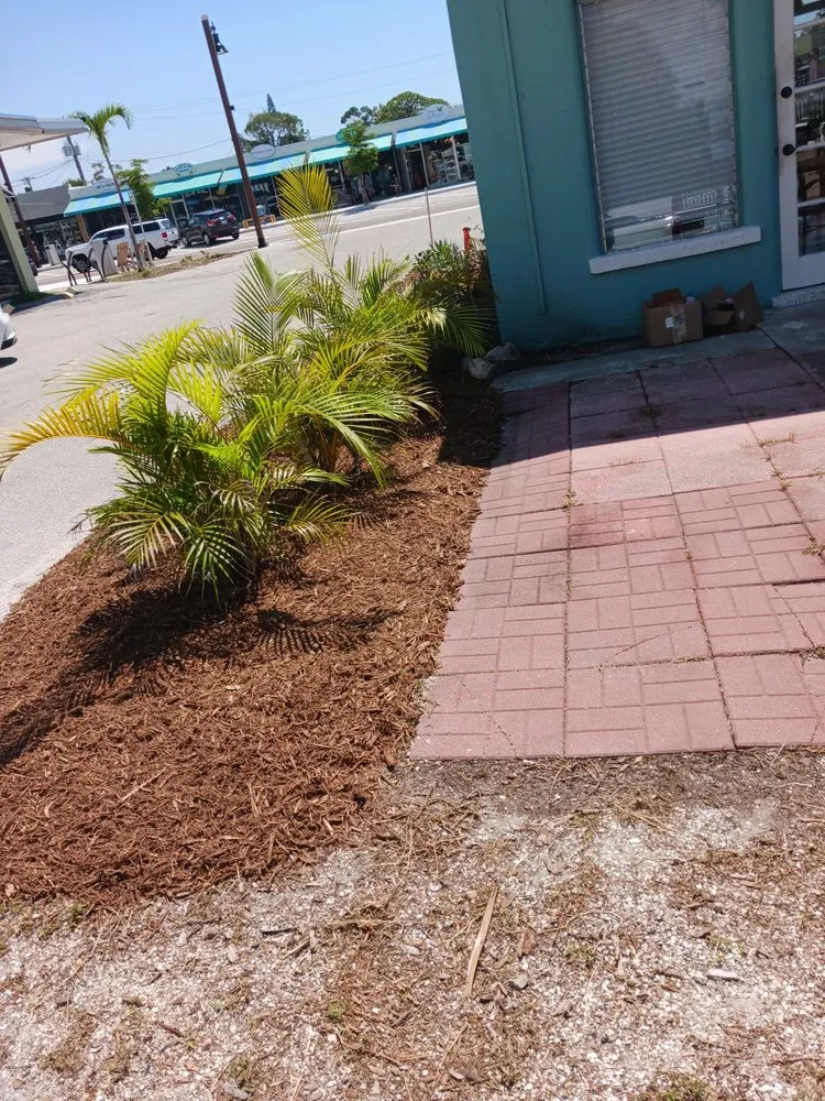 Reliable lawn mowing service in Osprey, FL - Green Acres By Art Jr Landscaping