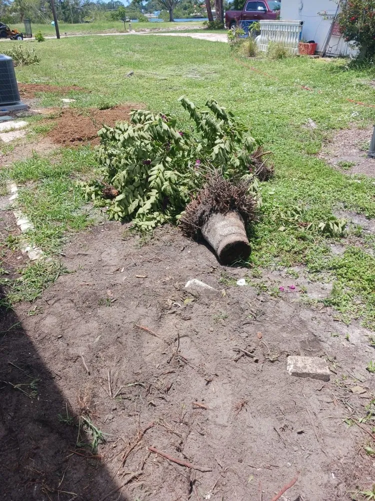 Reliable yard maintenance in Osprey, FL by Green Acres By Art Jr Landscaping