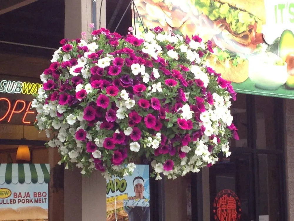 Top-rated outdoor landscaping with custom design across Banks, OR - Green Acres Commercial Landscape Maintanence