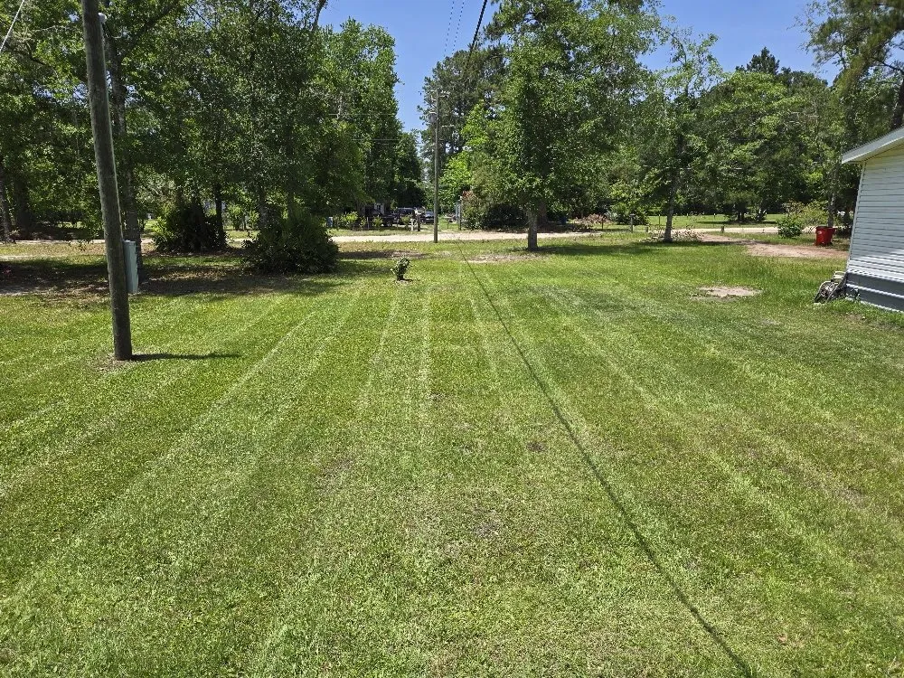 Expert landscape installation for year-round maintenance across Brunswick, GA - Green Acres Grass Cutting