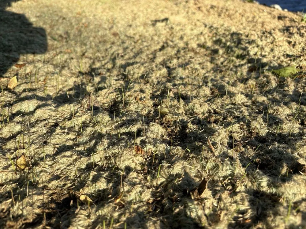 Affordable landscape installation near you in Galax, VA by Green Acres Hydroseeding