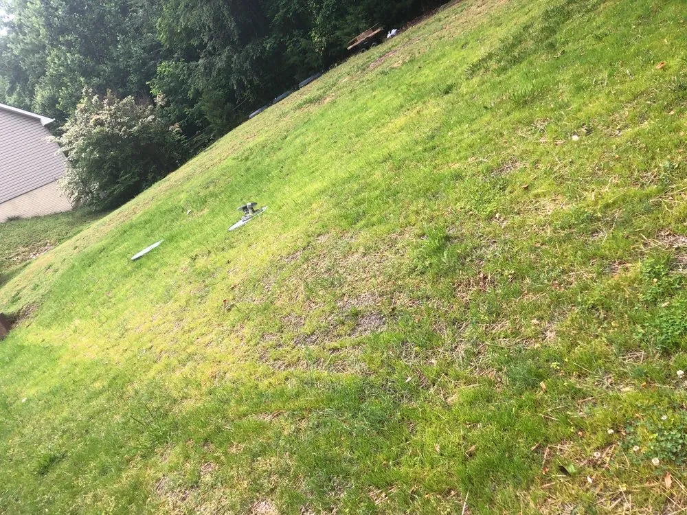 Top-rated outdoor landscaping experts serving King George, VA - Green Acres