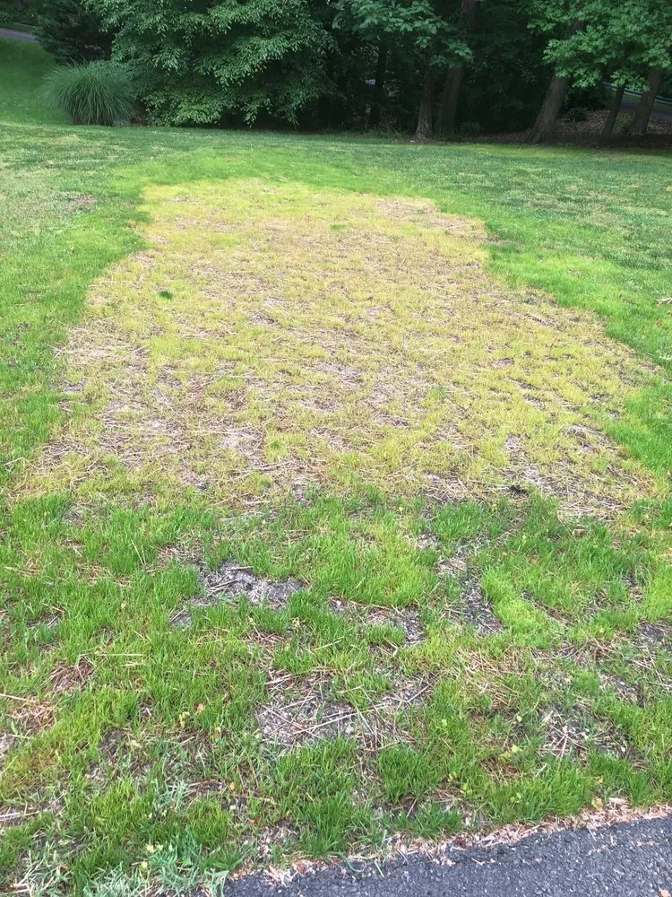 Top-rated outdoor landscaping experts serving King George, VA - Green Acres