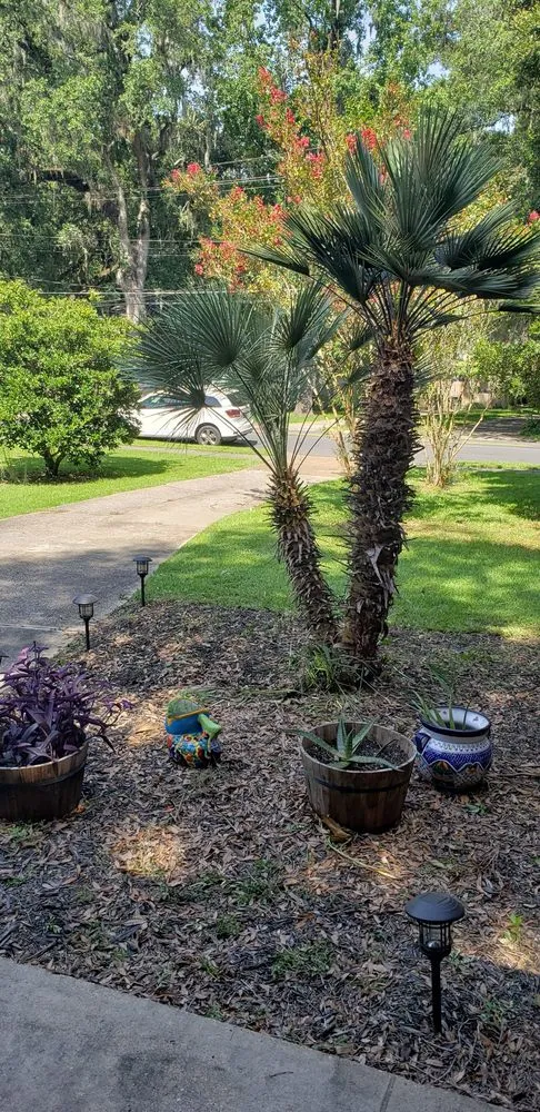 Expert landscaping services in Tallahassee, FL by Green Acres Landscape Management