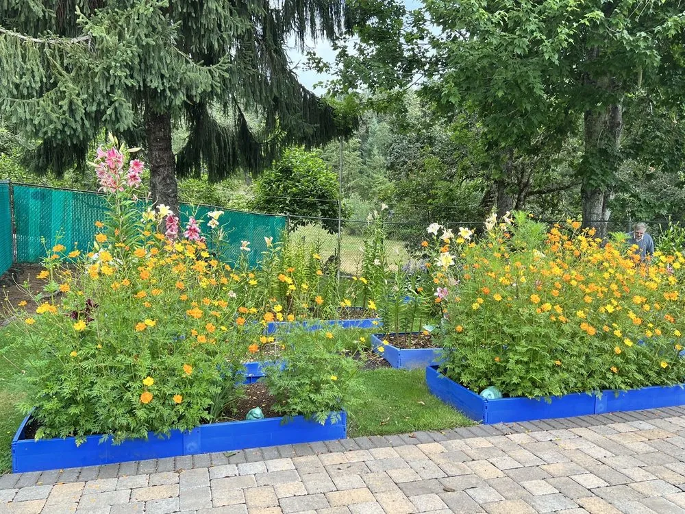 Expert lawn care service in Salem, OR - Green Acres Landscape