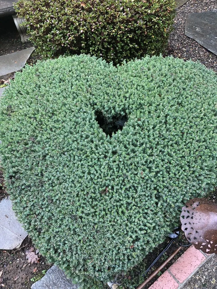 Reliable residential landscaping for outdoor upgrades across Salem, OR - Green Acres Landscape