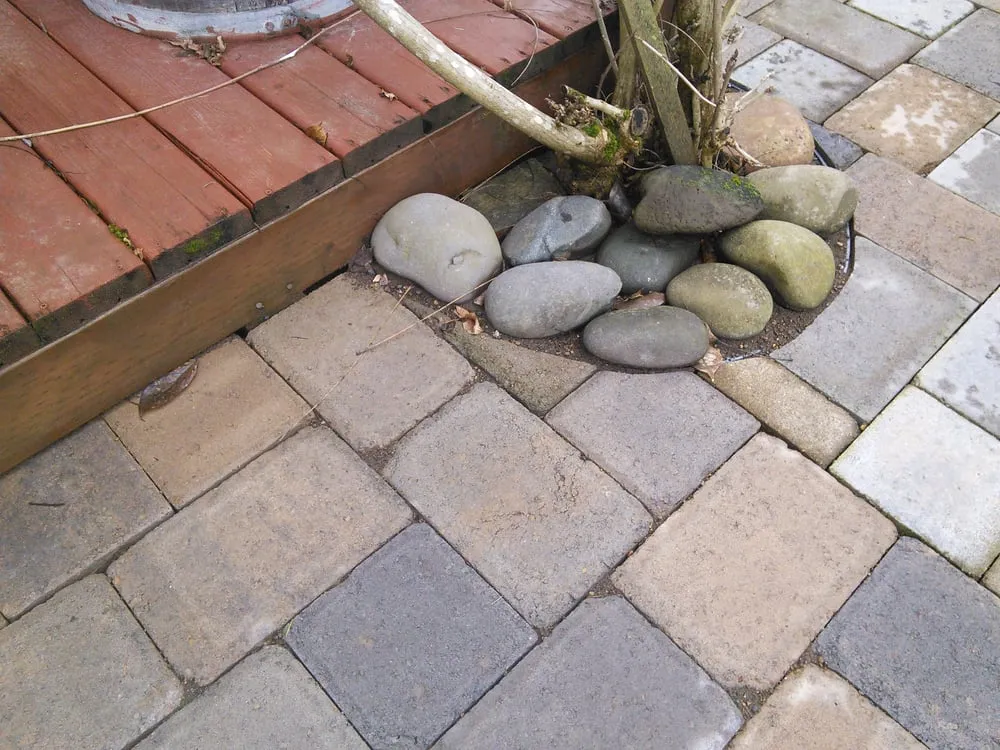 Expert yard cleanup service for beautiful yards in Salem, OR by Green Acres Landscape