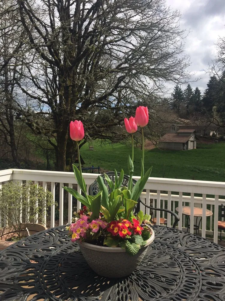 Local yard cleanup service in Salem, OR by Green Acres Landscape