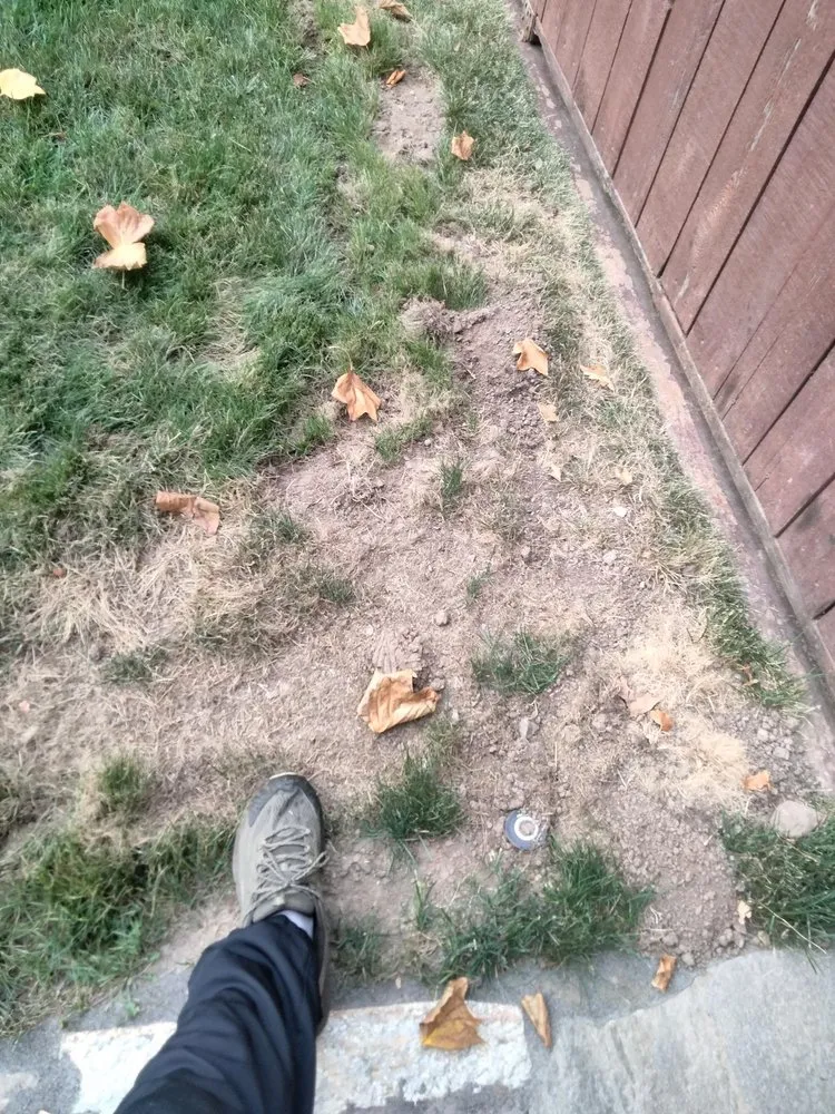 Professional yard maintenance in Salem, OR by Green Acres Landscape