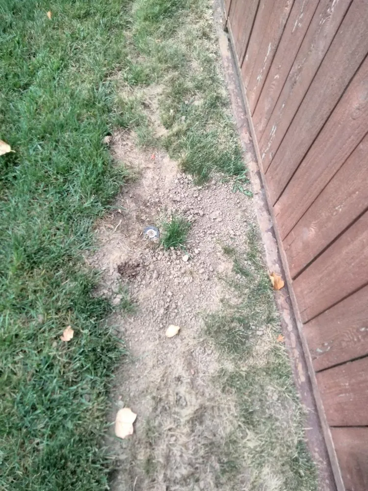 Affordable landscape design in Salem, OR - Green Acres Landscape