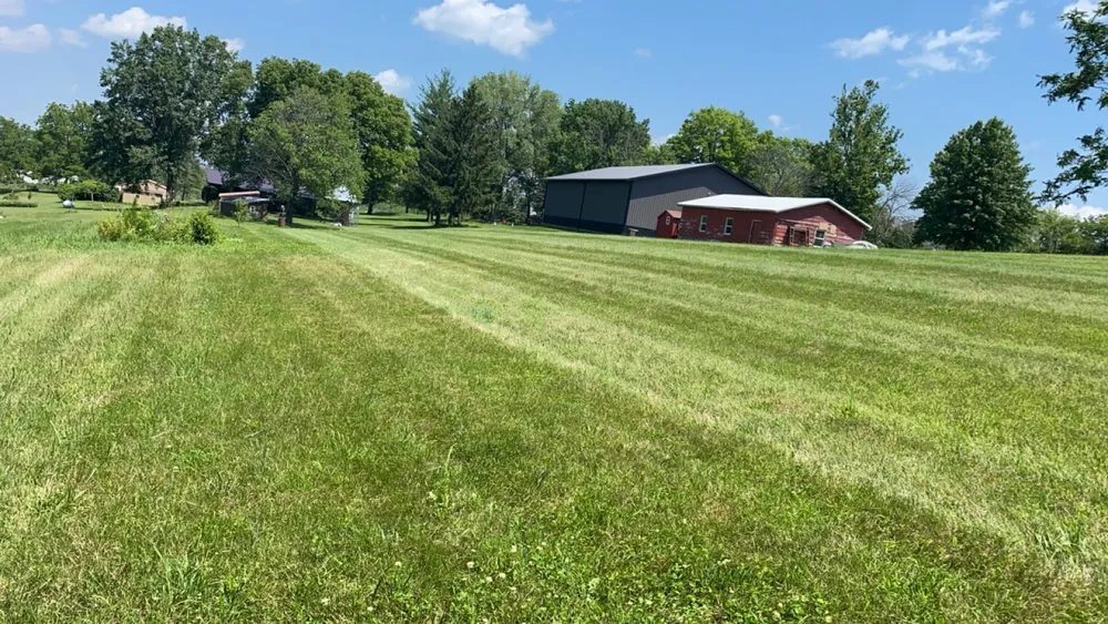 Expert yard cleanup service for year-round maintenance across Carlisle, IA - Green Acres Landscaping