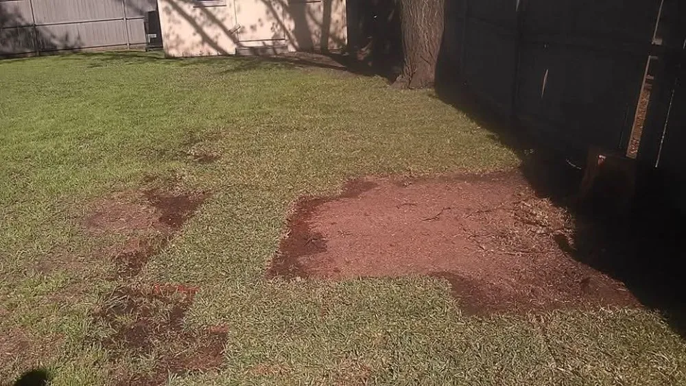 Affordable outdoor landscaping for beautiful yards in Grand Prairie, TX by Green Acres Landscaping