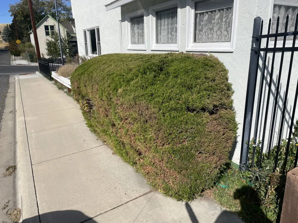 Affordable residential landscaping in Helena, MT by Green Acres Landscaping