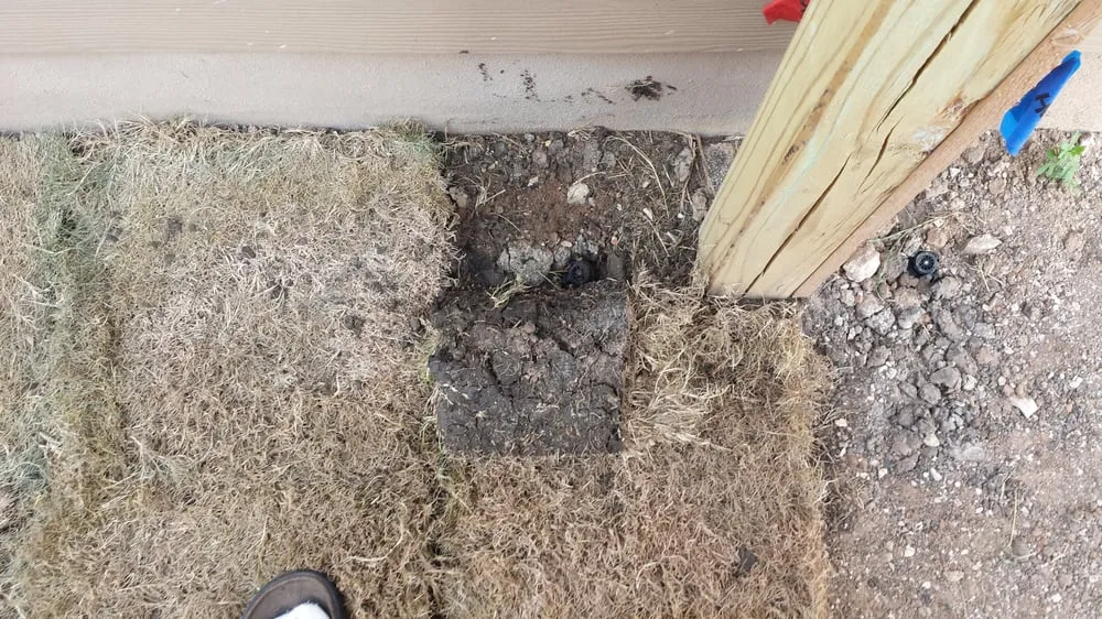 Top-rated yard maintenance experts serving New Braunfels, TX - Green Acres Landscaping