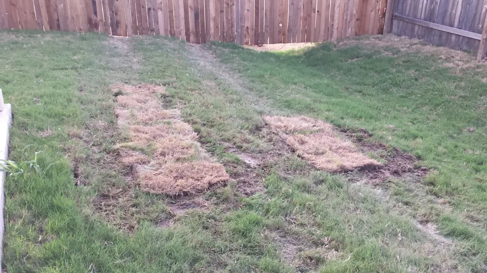 Trusted lawn care service in New Braunfels, TX - Green Acres Landscaping