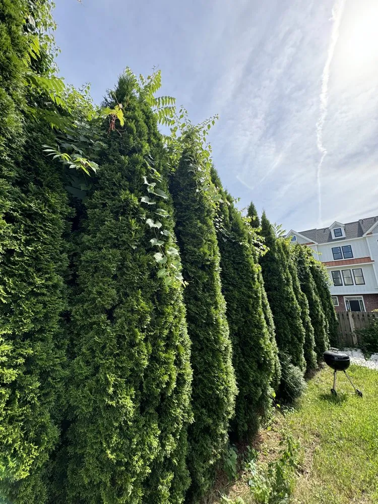 Trusted landscape installation for residential properties in River Vale, NJ by Green Acres Landscaping