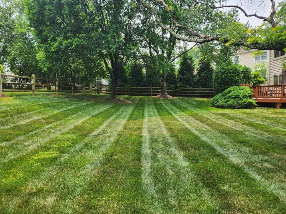 Trusted yard maintenance for residential properties across Rockville, MD - Green Acres Landscaping