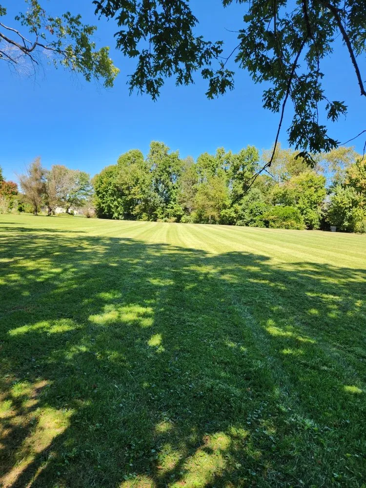 Expert lawn care service for year-round maintenance across London, KY - Green Acres Lawn & Landscape